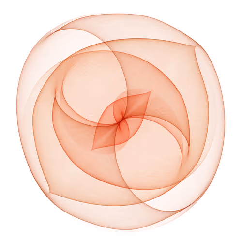 Item #210000074 Media