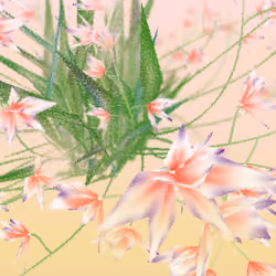 Cattleya #94