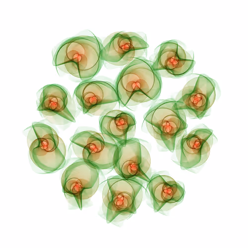 Item #116003697 Media