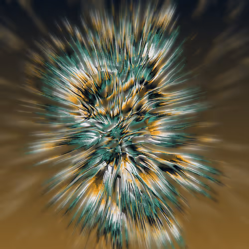 Item #68000281 Media