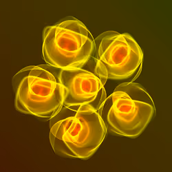 Flowers #1729