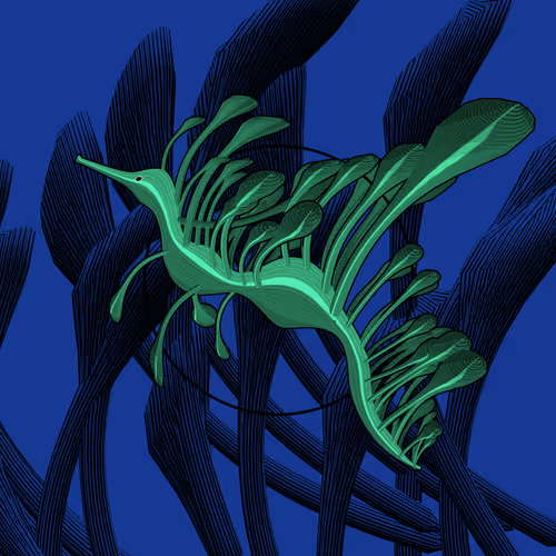 Item #160000407 Media