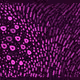 235000243