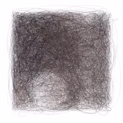 Scribbled Boundaries #303