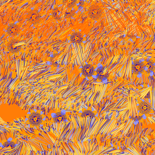 Fragments Of An Infinite Field By Monica Rizzolli