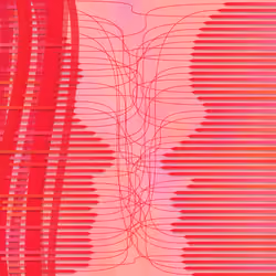 [Dis]entanglement #344