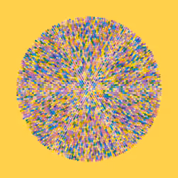 Transitions #4499