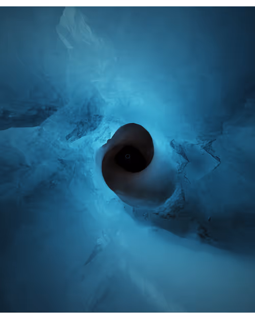 Item #217000138 Media