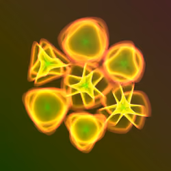 Flowers #1758
