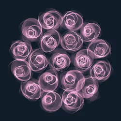 Flowers #5599