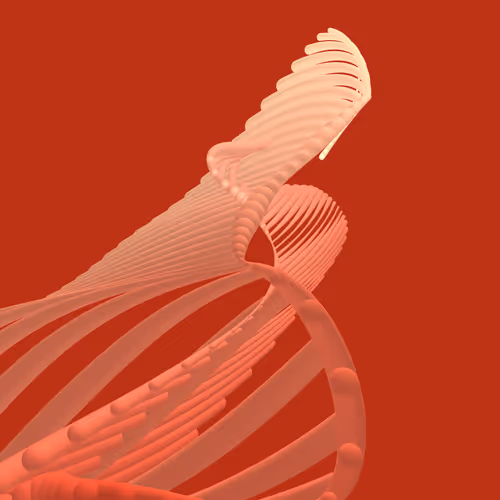 Item #268000104 Media