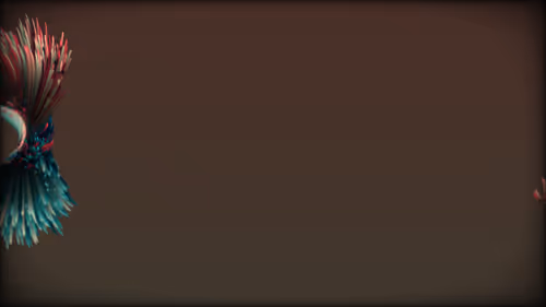 Item #201000033 Media