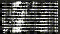 Item #343000160 Media