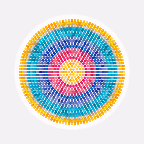 Transitions By Jason Ting X Matt Bilfield