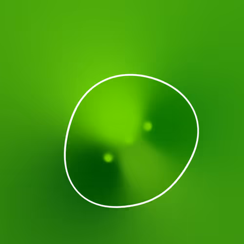 Item #126000237 Media