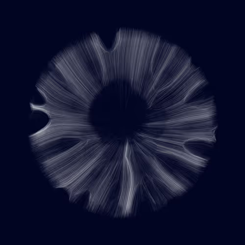 Gravity 12 #373