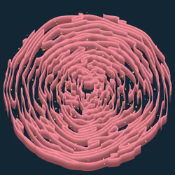 Tropism #305