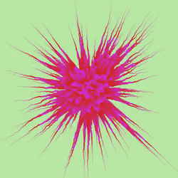 Star Flower #564