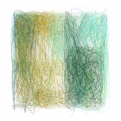 Scribbled Boundaries #264