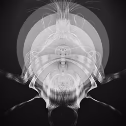Latent Spirits #277