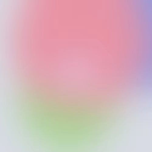 Item #170000010 Media