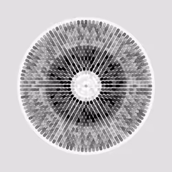 Transitions #2094