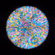 117000501