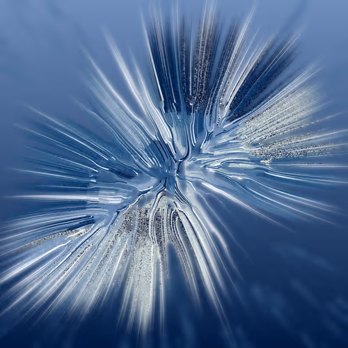 Item #68000289 Media