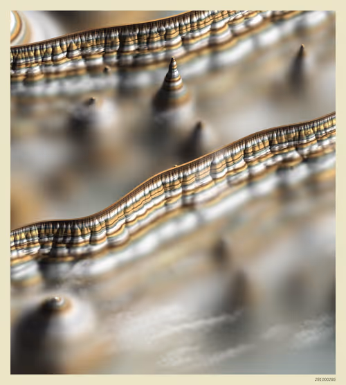 Item #291000285 Media