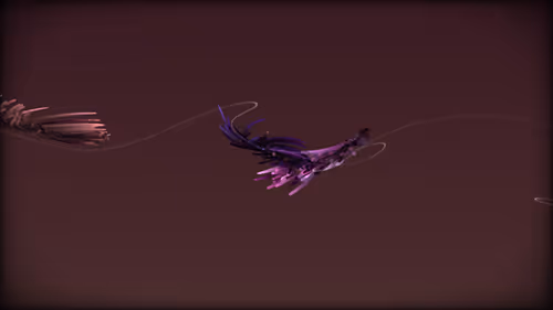 Item #201000037 Media