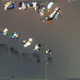 232000819