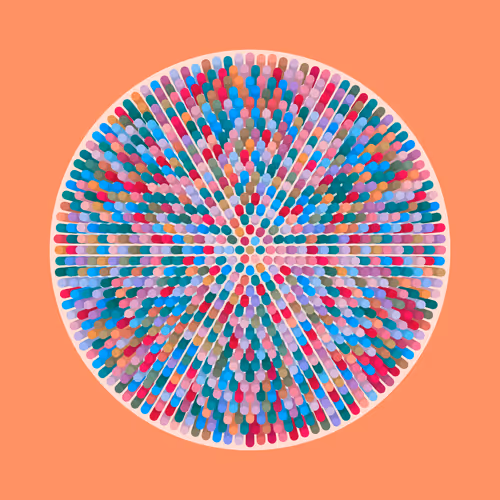 Transitions By Jason Ting X Matt Bilfield