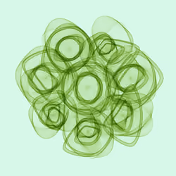 Flowers #4067