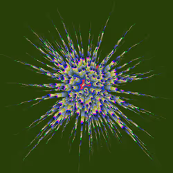 Star Flower #877
