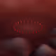 124000181