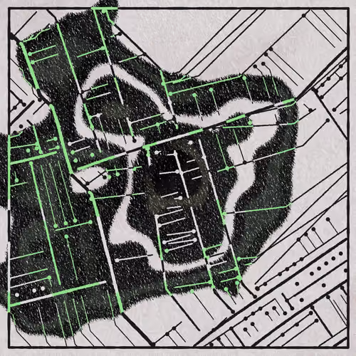 Maps of Nothing #303