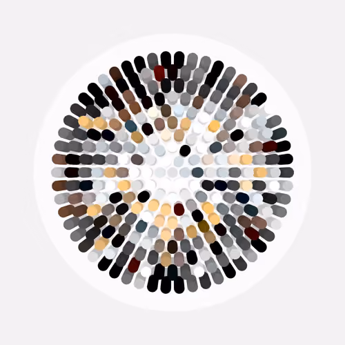 Transitions #1042