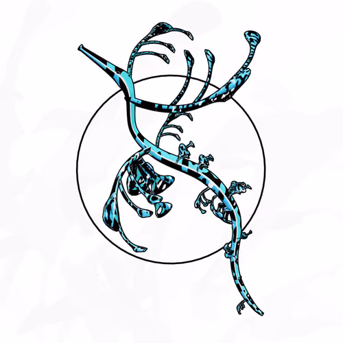Seadragons #534
