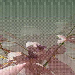 Item #279000003 Media