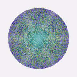 Transitions #4239
