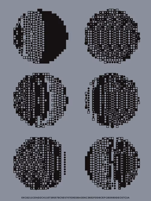 Item #241000048 Media