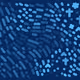 235000181