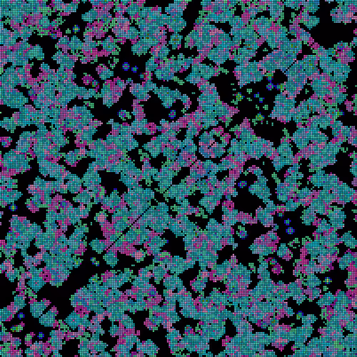 Item #175000042 Media