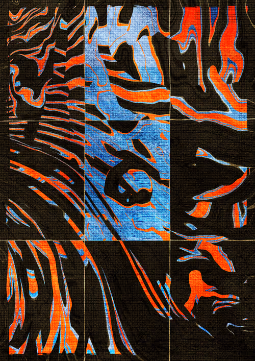 Item #304000288 Media