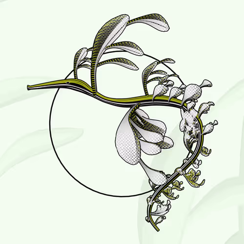 Item #160000723 Media