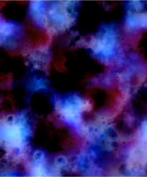 Item #129000438 Media