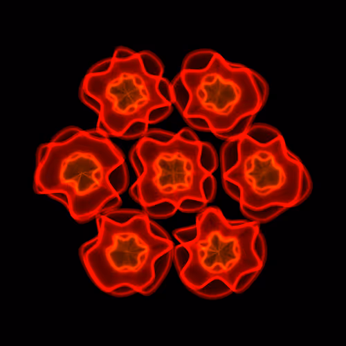 Flowers #6121