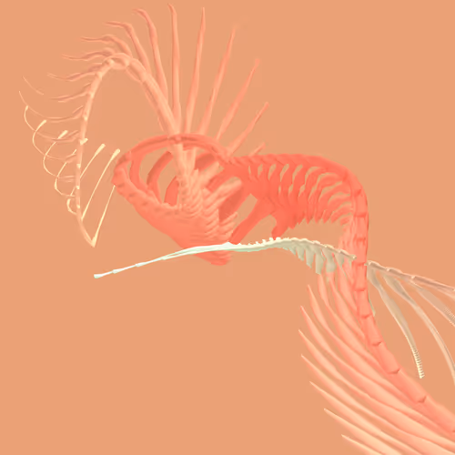 Item #268000199 Media