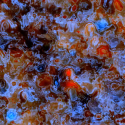 Pigments #509