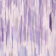 252000055